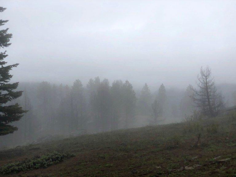 00AF2CE7-775D-40BC-86DB-8387711F8520