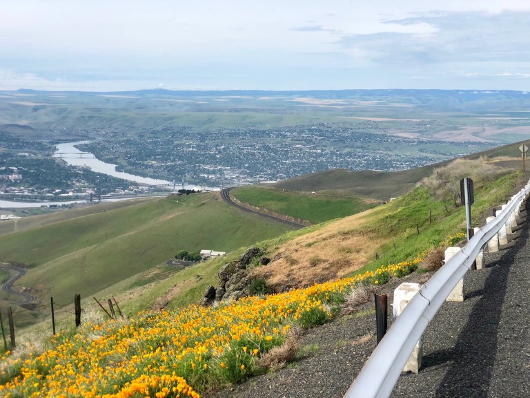 00B6D3AC-C9B4-44A3-9F8B-F4092B44CD61