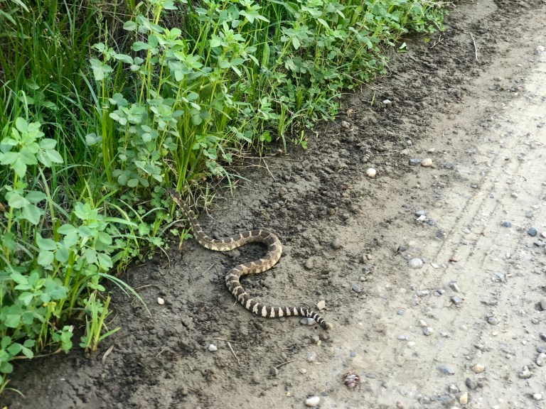 12BD655A-273A-446A-874E-FD2C7A864E0D