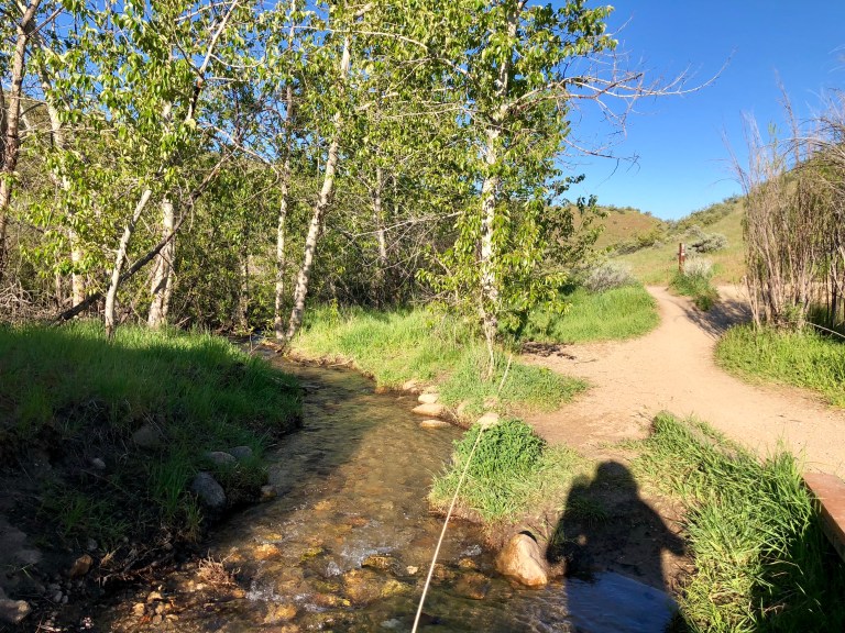 30D741B9-008C-4317-B4DD-C5C063F3D34B