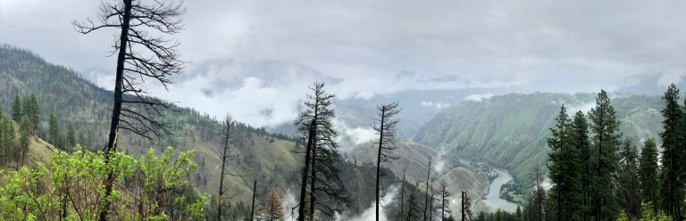 76A14CF3-8F43-4D42-89F4-5B68E1DBF2FA