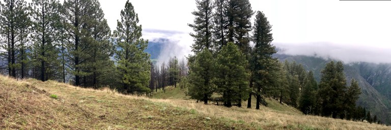 D933198A-1C2A-4F83-B236-F619E9182387