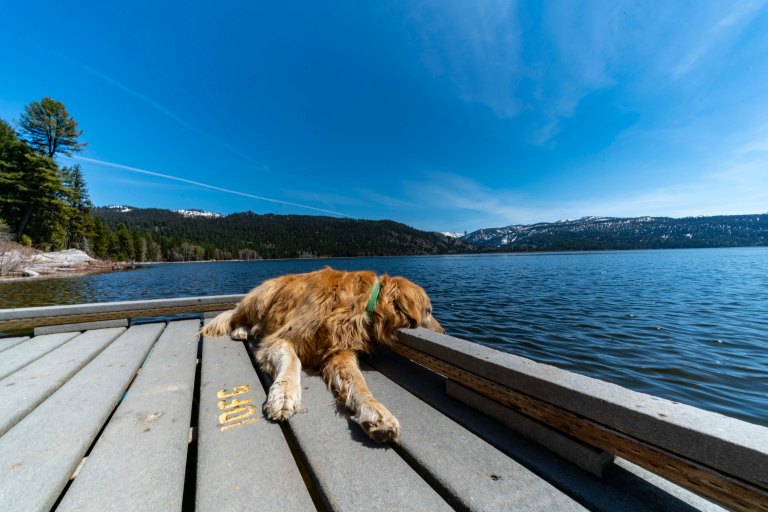 David BeckMcCallDSC04545