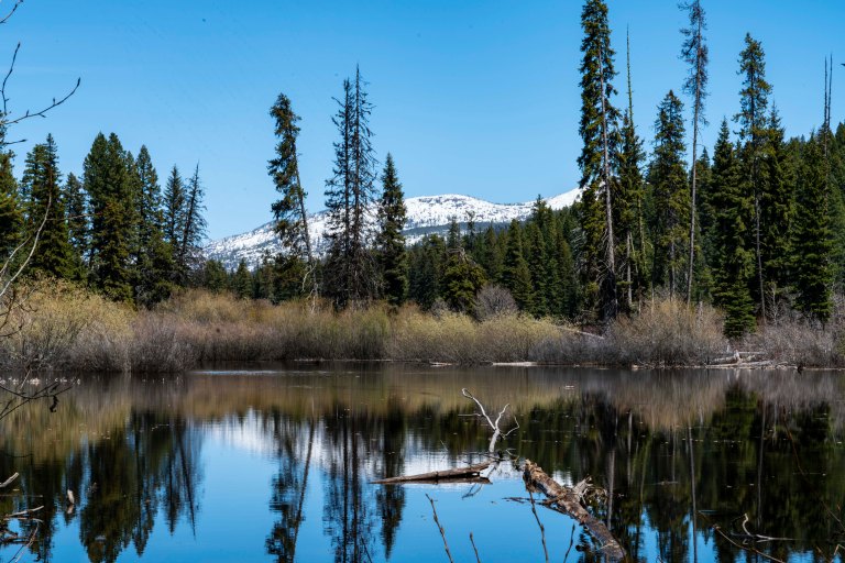 David BeckMcCallDSC04554