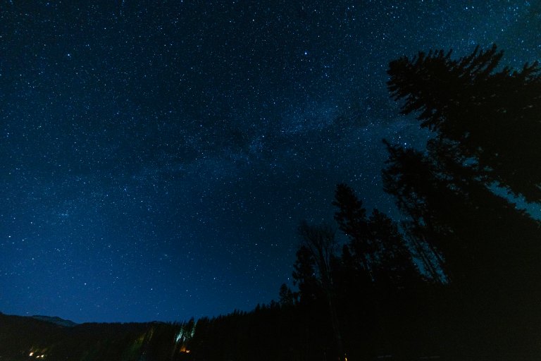 David BeckMcCallDSC04583