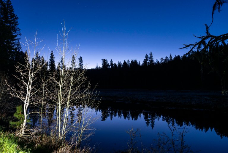 David BeckMcCallDSC04587