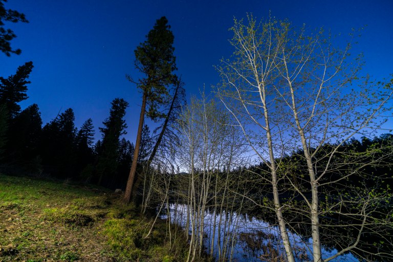 David BeckMcCallDSC04598