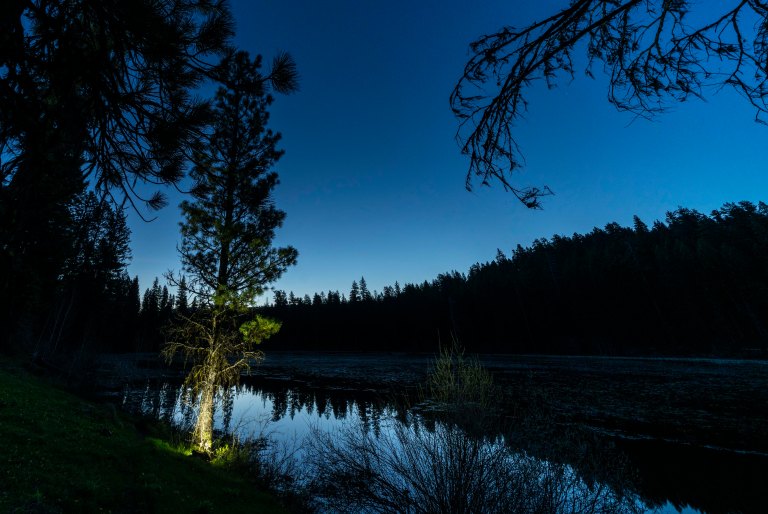 David BeckMcCallDSC04601