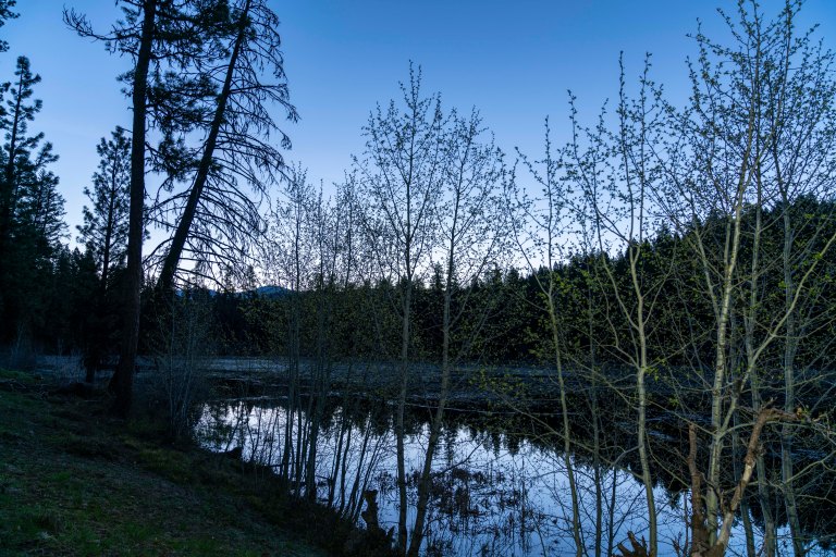 David BeckMcCallDSC04623