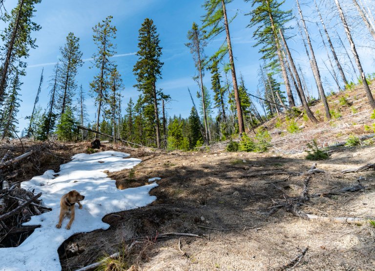 David BeckMcCallDSC04798