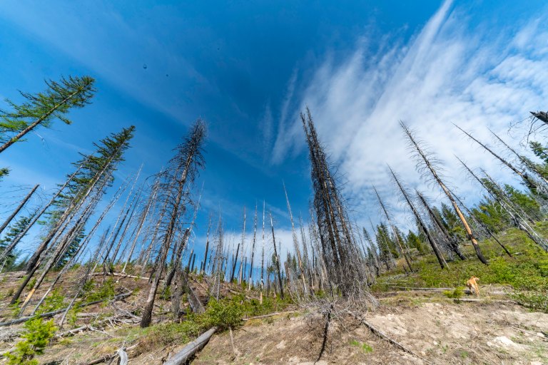 David BeckMcCallDSC04799