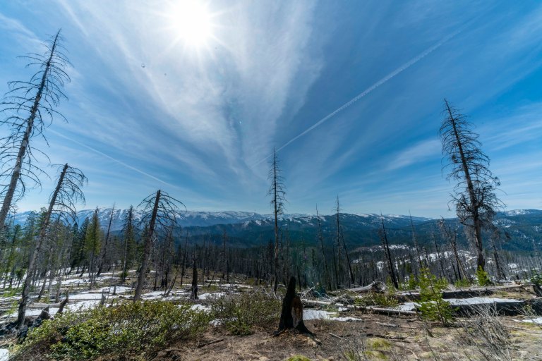 David BeckMcCallDSC04801