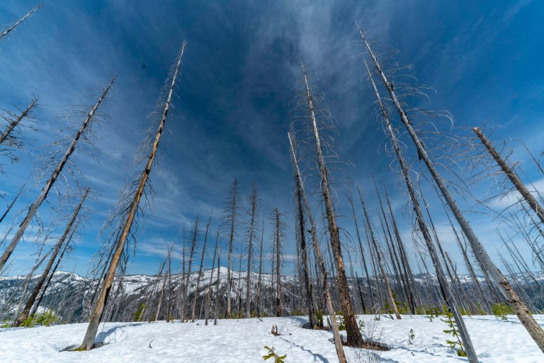 David BeckMcCallDSC04804