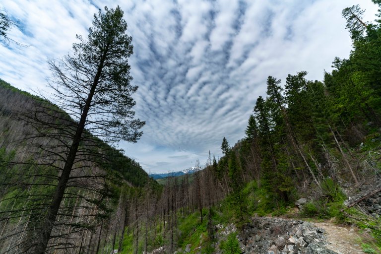 David BeckMcCallDSC04831