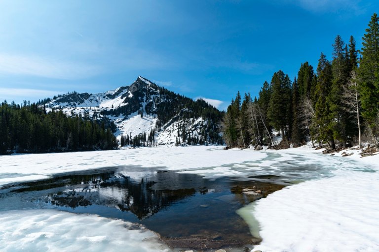 David BeckMcCallDSC04895