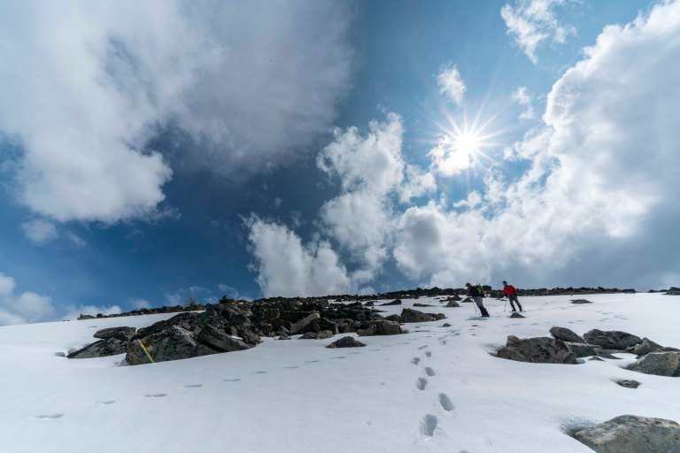 David BeckMcCallDSC04921