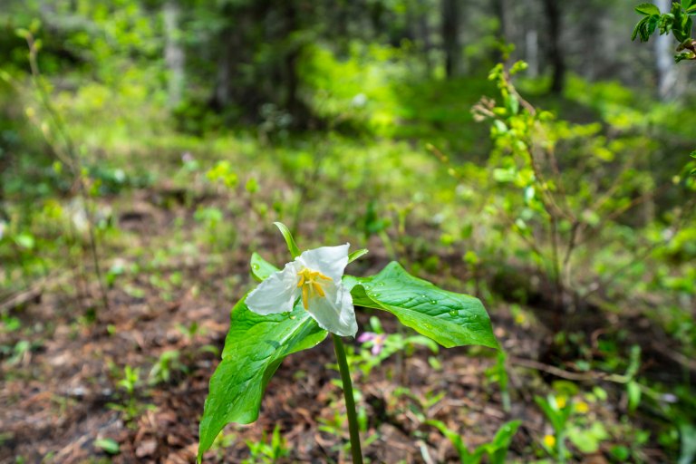 David BeckMcCallDSC04946_1