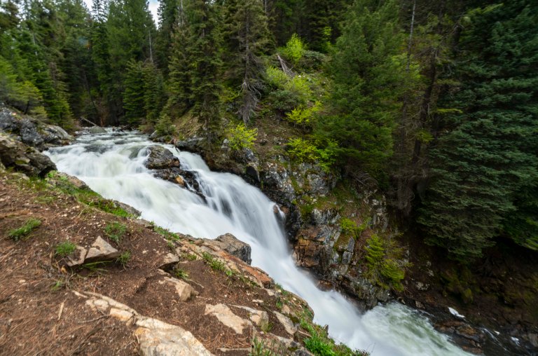 David BeckMcCallDSC04954_1