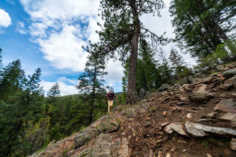 David BeckMcCallDSC04955_1