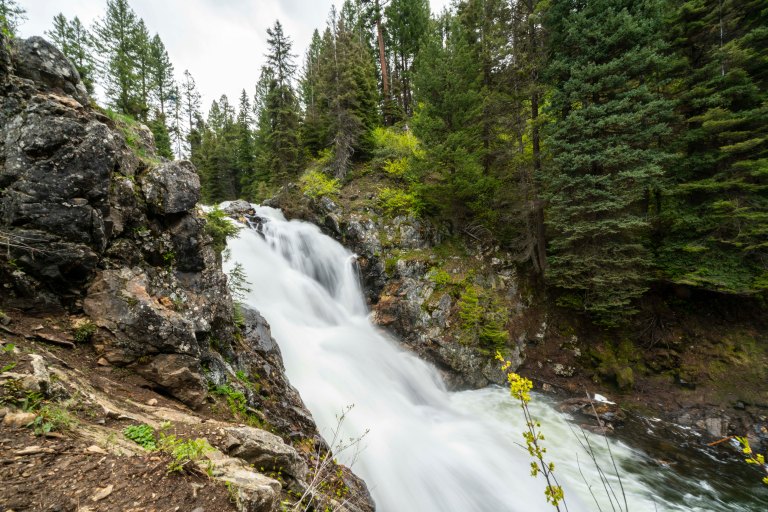 David BeckMcCallDSC04956_1