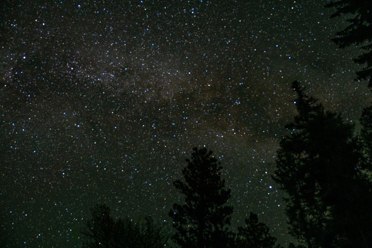 David BeckMcCallDSC04969_1