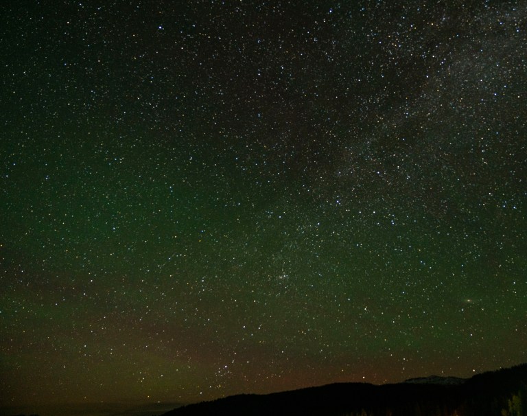 David BeckMcCallDSC04971