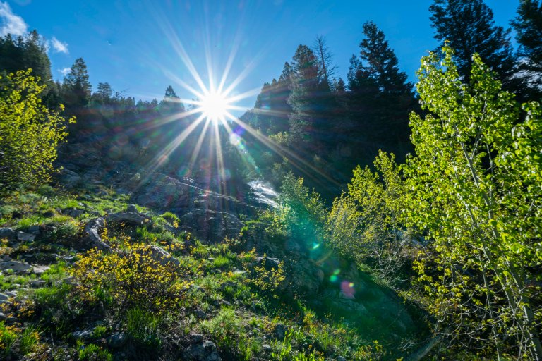 David BeckMcCallDSC05002