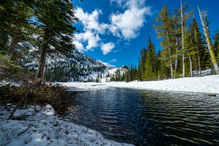 David BeckMcCallDSC05007