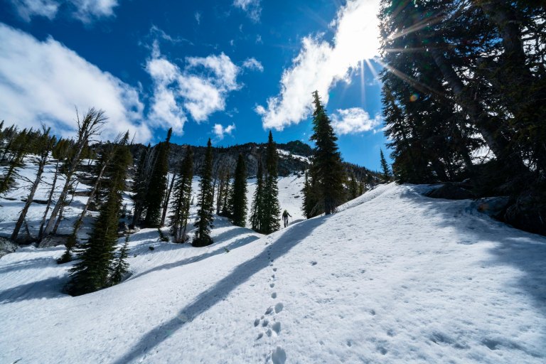 David BeckMcCallDSC05024