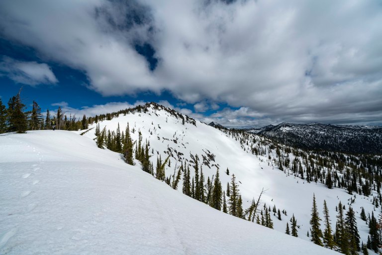 David BeckMcCallDSC05041