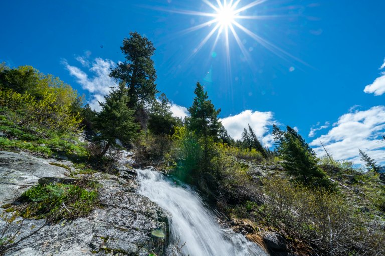 David BeckMcCallDSC05055