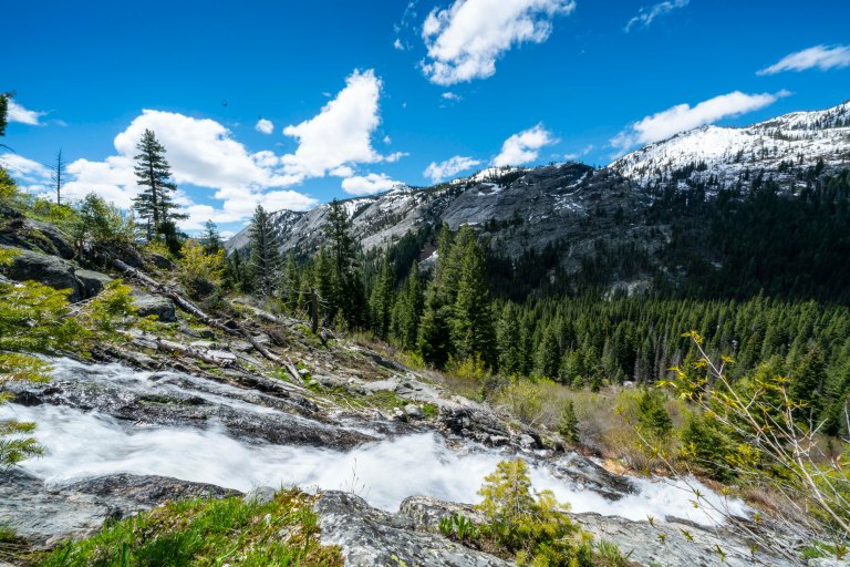 David BeckMcCallDSC05060