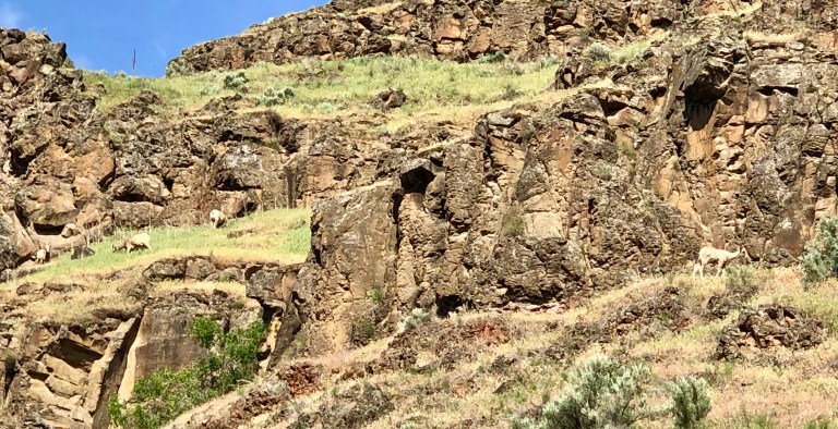 DD3F9115-150D-45D9-992B-630E618DAC7A