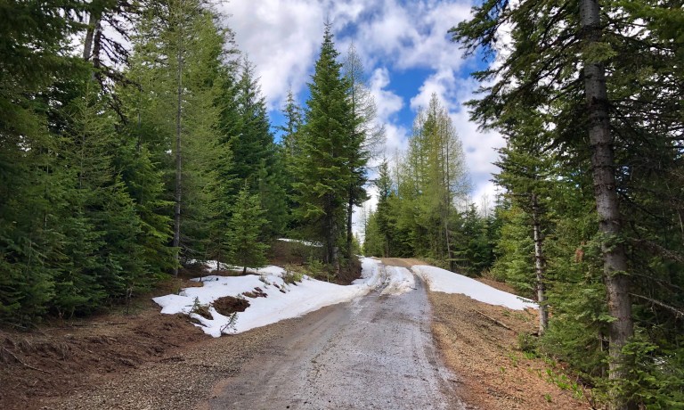 EA460EF3-E96A-4C78-A7A3-2E1801B2624C