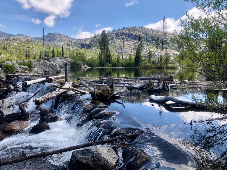 4DEE61A5-1A40-4DC0-A162-54D65AEAC1A8