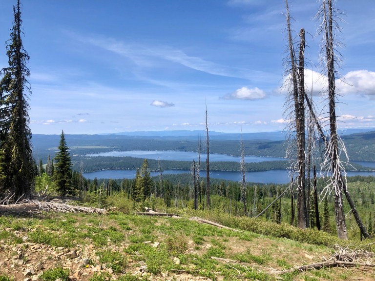 95D57B61-9377-4E96-BDBD-76B72AB5C29B