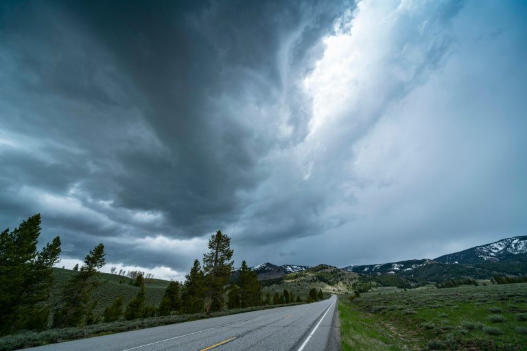 David BeckMcCallDSC05264