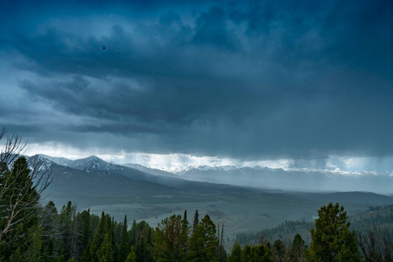 David BeckMcCallDSC05273