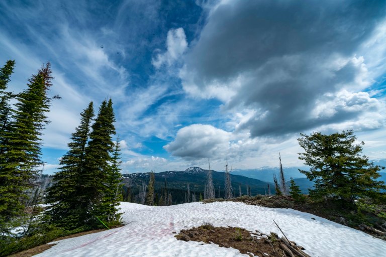 David BeckMcCallDSC05288