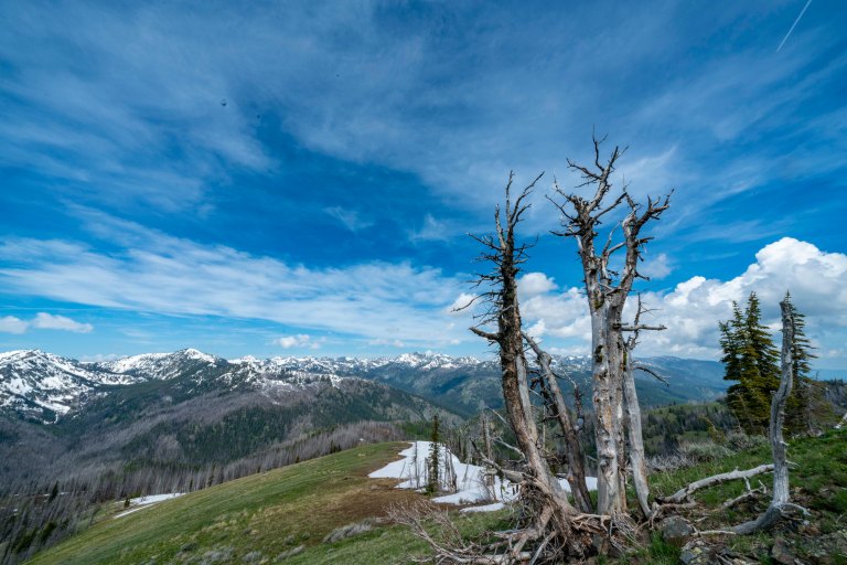 David BeckMcCallDSC05306