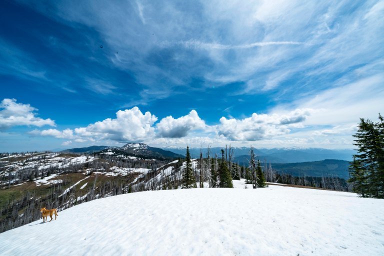 David BeckMcCallDSC05312