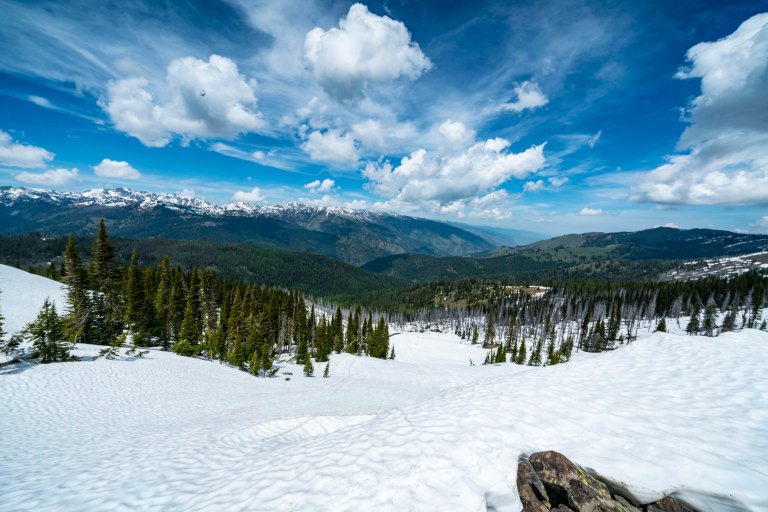 David BeckMcCallDSC05318