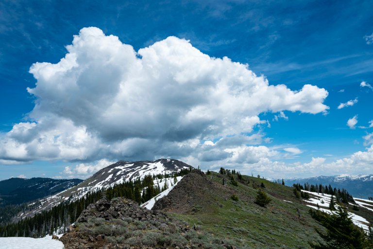 David BeckMcCallDSC05323