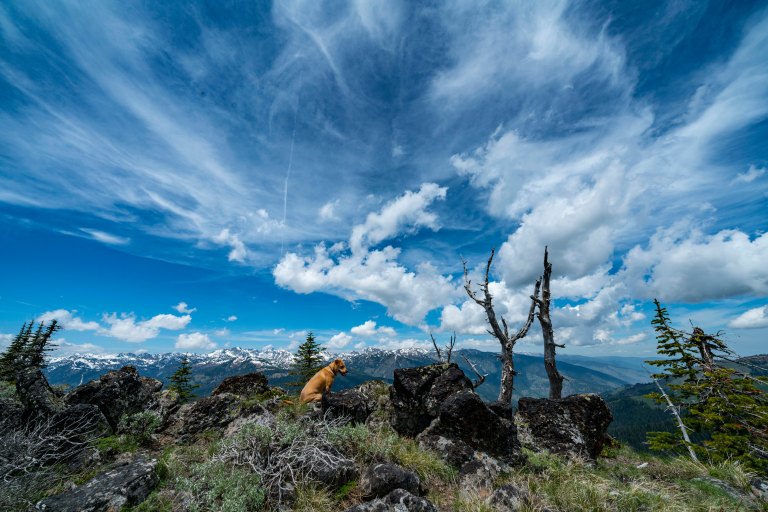 David BeckMcCallDSC05331