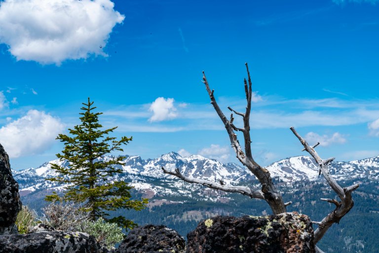 David BeckMcCallDSC05340