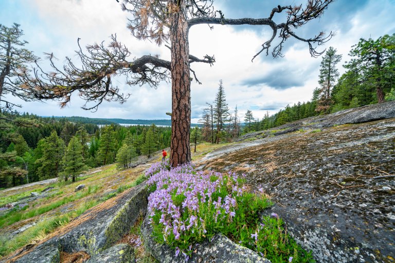 David BeckMcCallDSC05367