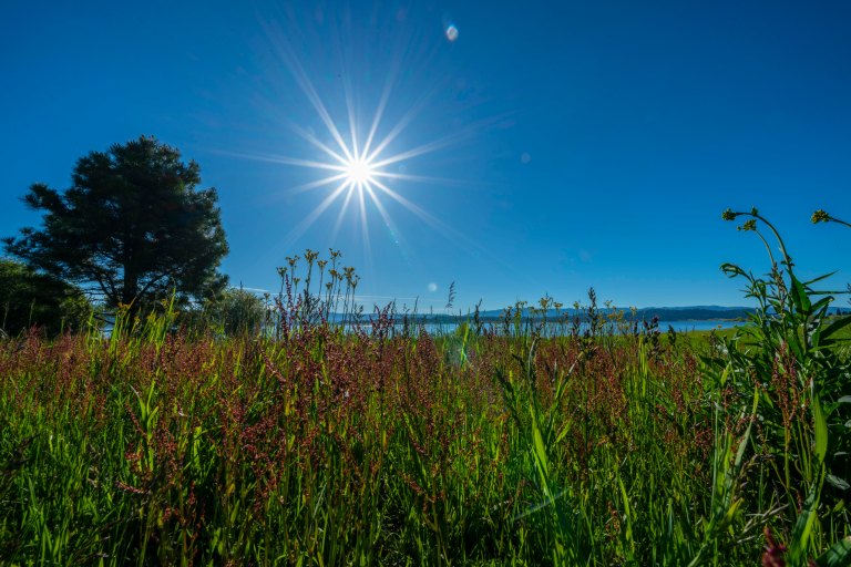 David BeckMcCallDSC05385