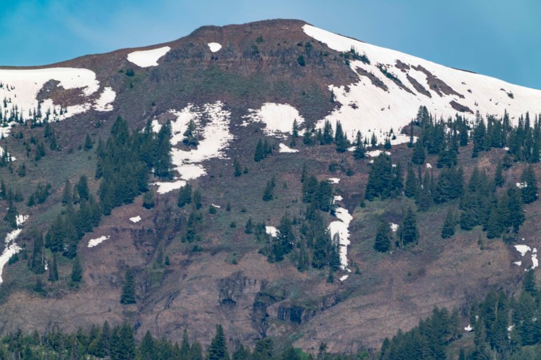 David BeckMcCallDSC05401