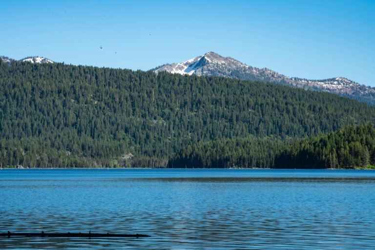 David BeckMcCallDSC05421