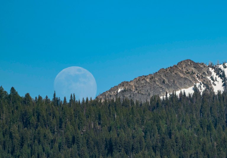 David BeckMcCallDSC05425